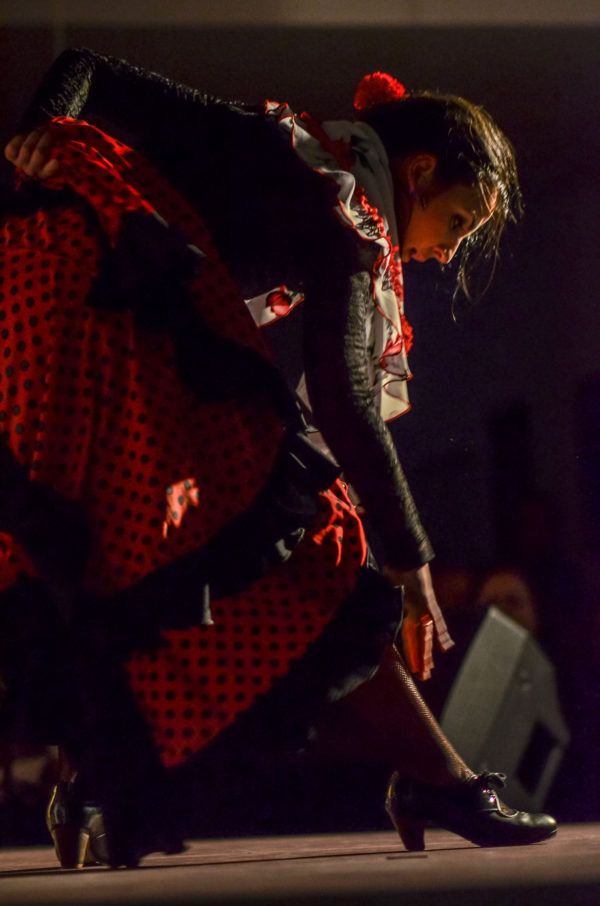 Bailaora del Flamenco Andalusi Sevilla 1