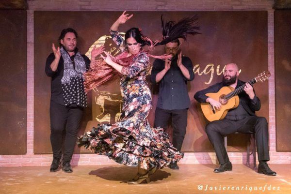 Espectaculo Flamenco La Fragua