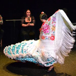 Baile Flamenco en Teatro Flamenco Triana