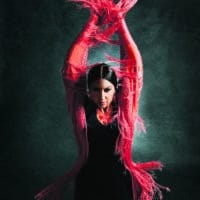 Bailaora FRANCHESCA de Tablao Flamenco Sevilla 3