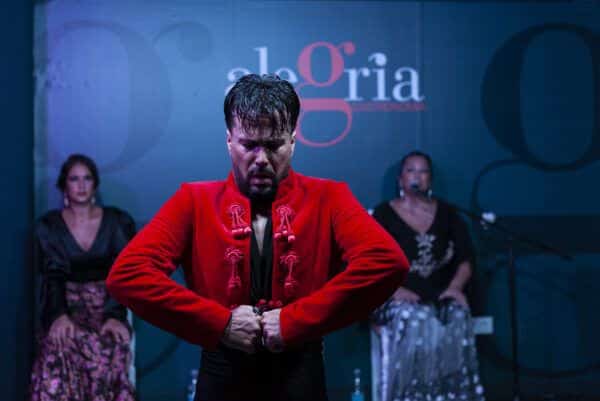 Bailaor del Tablao Alegría con Restaurante - Flamenco en Málaga