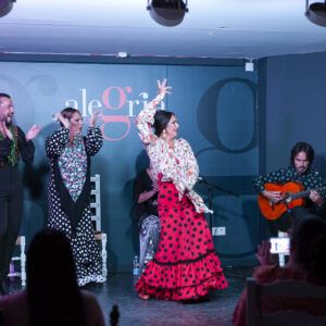 Cuadro Flamenco del Tablao Alegría con Restaurante - Flamenco en Málaga