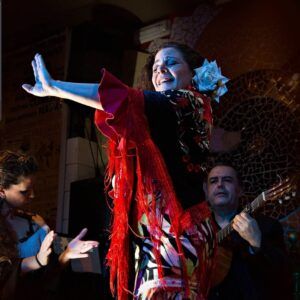Bailaora del Tablao Flamenco el Toro y la Luna - FLAMENCONLINE.com