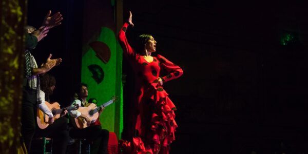 Flamenca en el Tablao Flamenco El Palacio Andaluz - Flamenco Online