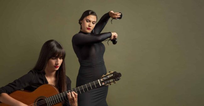 guitarra flamenca