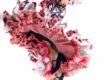 trajes de flamenca