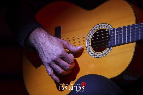 Solo de Guitarra en Tablao Flamenco Las Setas FLAMENCO ONLINE