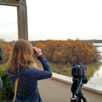 Observación con Prismáticos en el Parque Nacional del Doñana - FLAMENCO ONLINE
