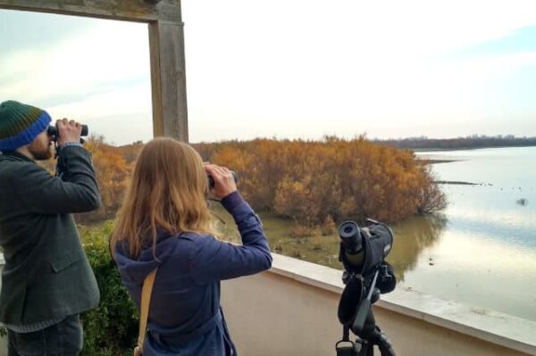 Observación con Prismáticos en el Parque Nacional del Doñana - FLAMENCO ONLINE