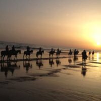 Ruta a Caballo en Doñana - FLAMENCO ONLINE