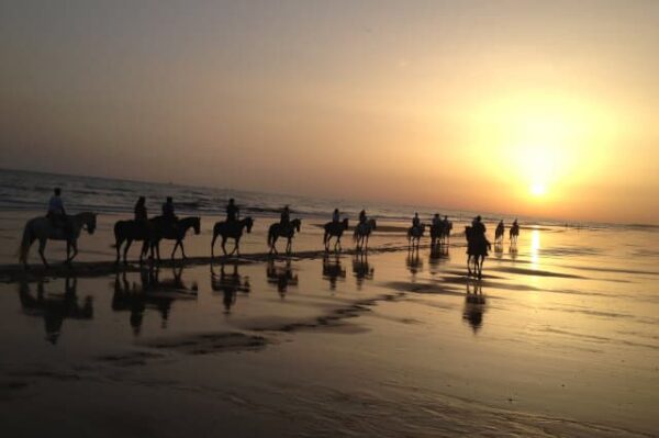 Ruta a Caballo en Doñana - FLAMENCO ONLINE