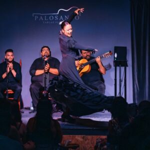 Baile de cola en PALOSANTO TABLAO FLAMENCO en Valencia