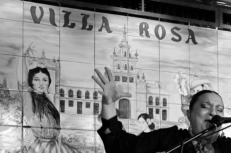 Victoria Santiago "La Tana" en el tablao flamenco en madrid Villa Rosa