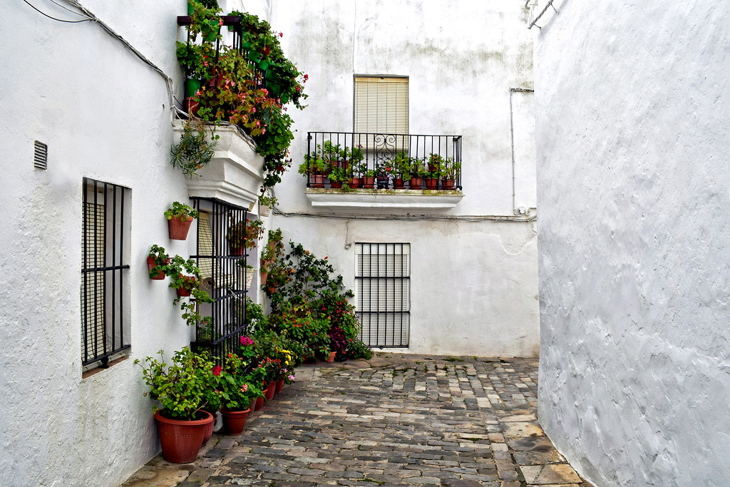 vejer